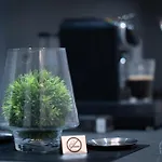 Exclusiveapartamentdamarisheritage Τιμισοάρα