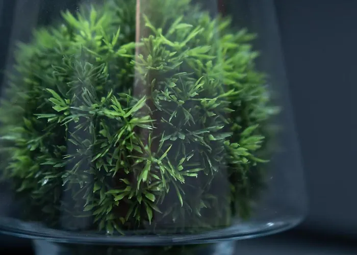 Apartamento Exclusiveapartamentdamarisheritage Timişoara