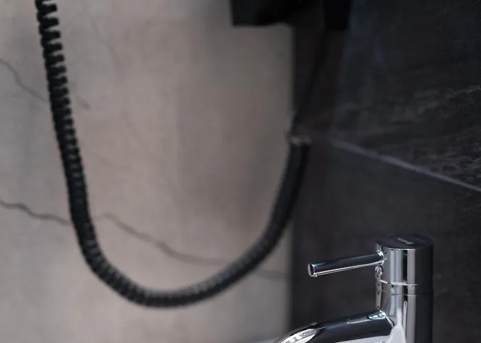 Exclusiveapartamentdamarisheritage * Timişoara