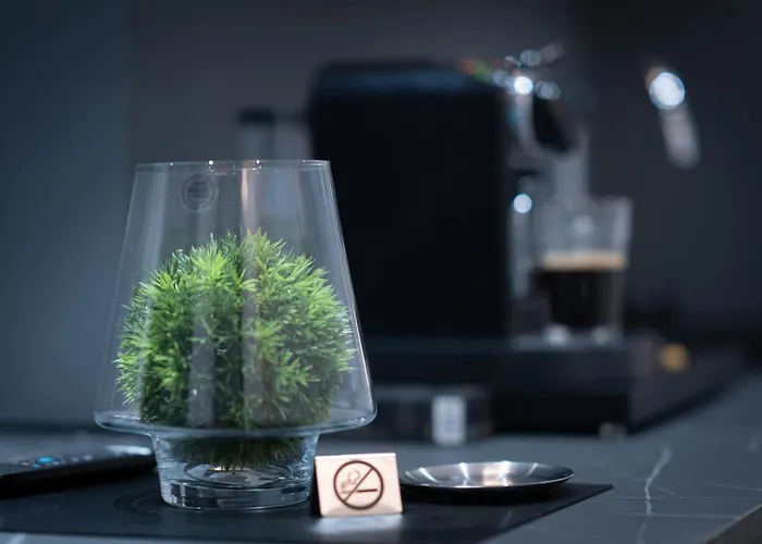 Exclusiveapartamentdamarisheritage Timişoara