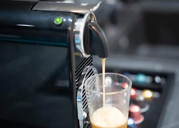 Exclusiveapartamentdamarisheritage Timişoara